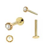 Toposh 14KT Solid Gold Cubic Zirconia Labret Body Jewelry