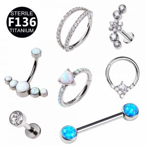 Body Piercing Jewelry Kit Titanium Nose Rings Lip Tongue Tragus Cartilage Rings Hoop Studs Belly Rings